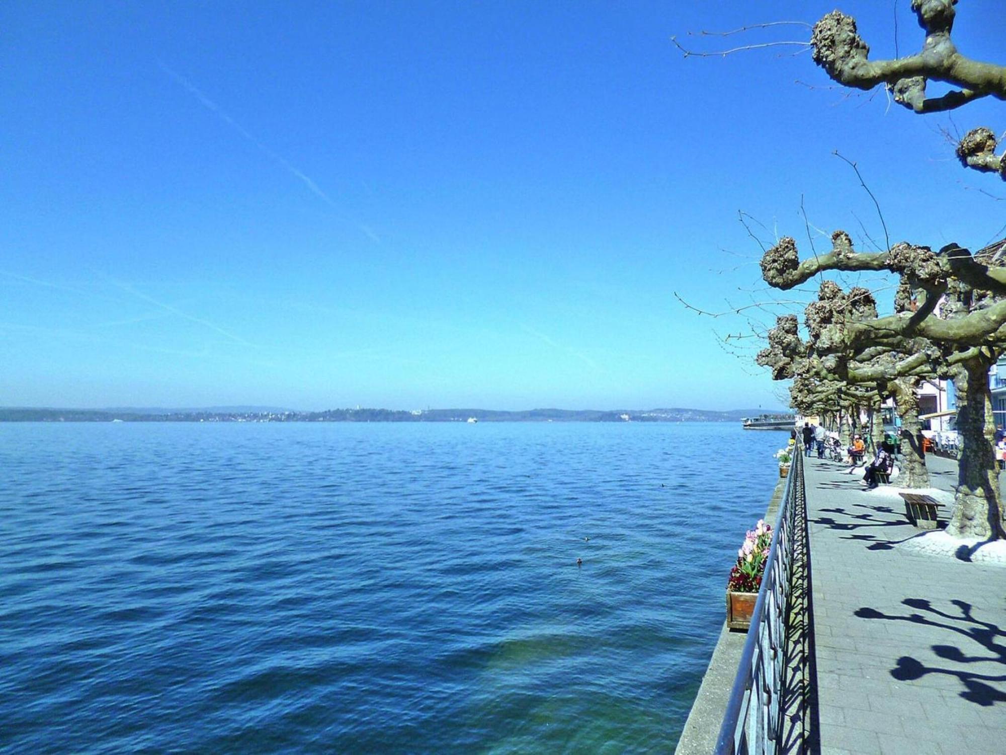 Apartment Bears, Meersburg Eksteriør billede